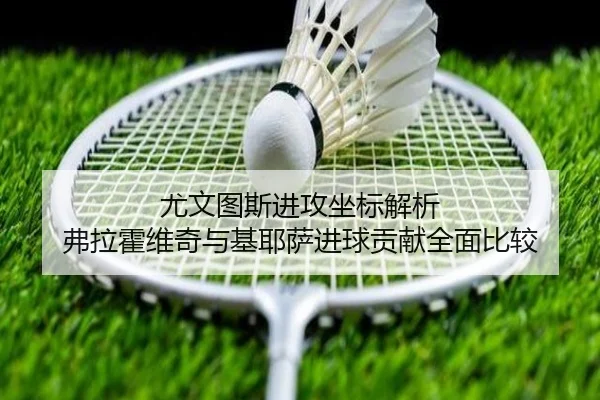 img_1783003895886_550_1_936.jpg